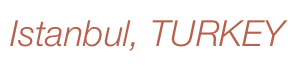 shapeimage_4_link_2