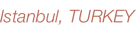 shapeimage_5_link_2